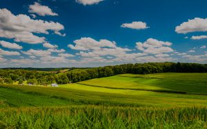 rolling wisconsin farmland